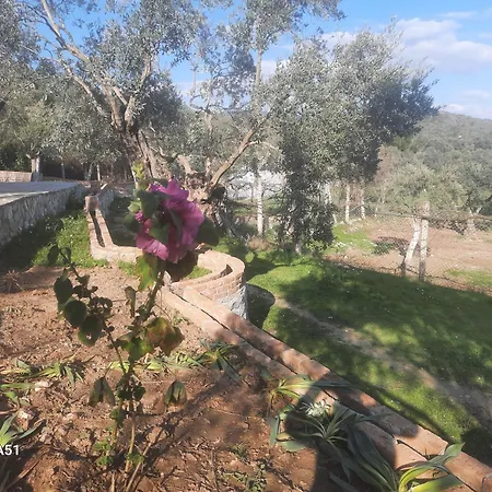 Campingplatz Ali Dede Kamp Karavan Kusadası