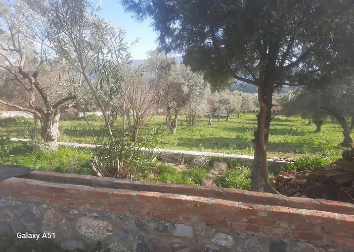 Campeggio Ali Dede Kamp Karavan Kusadası