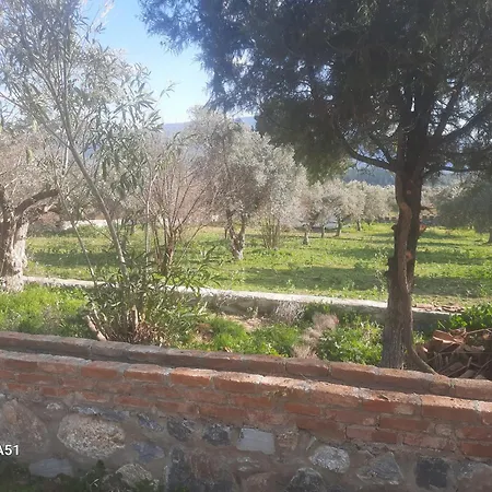 Κάμπινγκ Ali Dede Kamp Karavan Κουσάντασι