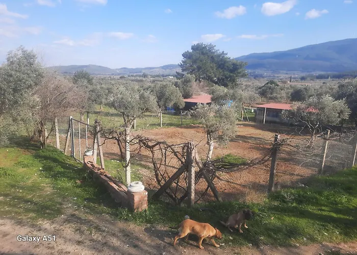 Parque de Campismo Ali Dede Kamp Karavan *