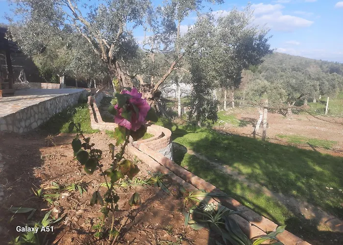 Parque de Campismo Ali Dede Kamp Karavan Kusadası