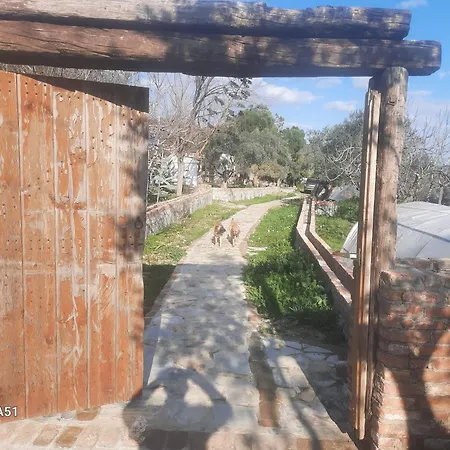 Ali Dede Kamp Karavan Kusadası